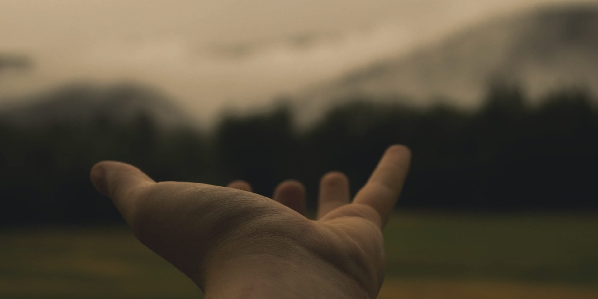 hand-846092_1920