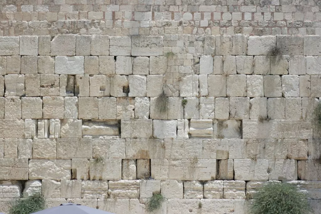 בציבור החרדי אי אפשר לדבר על זה...