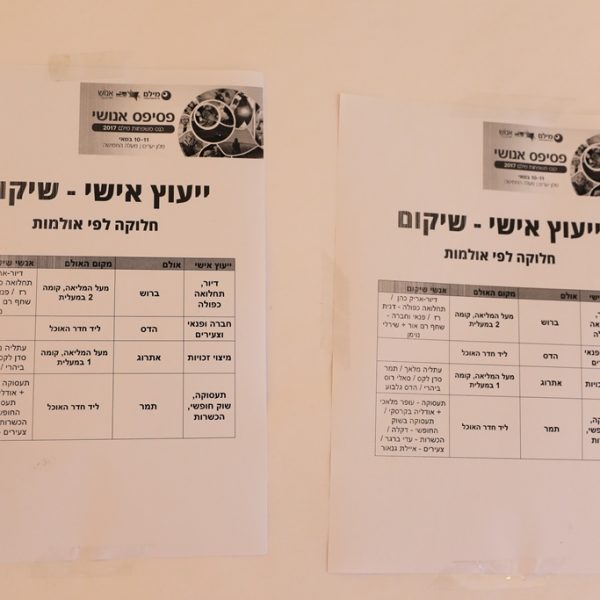 תוכנית ייעוץ אישי