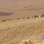 כנס משפחות מילם במדבר