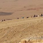כנס משפחות מילם במדבר
